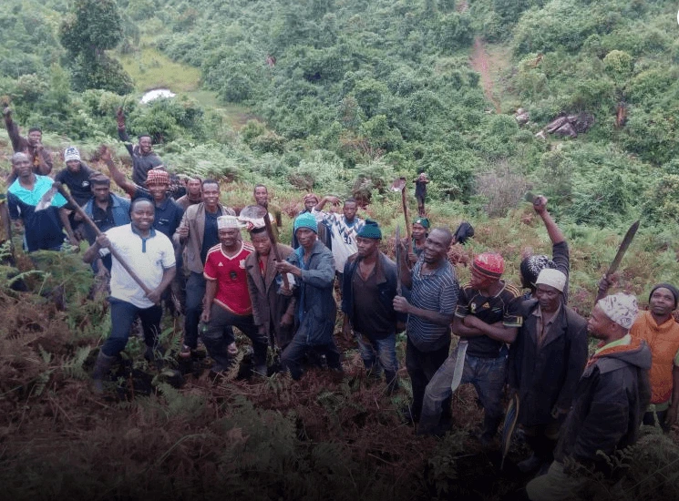 Pflanzprojekt Impression 1