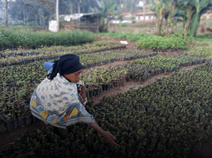 Pflanzprojekt Impression 2