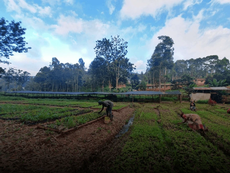 Pflanzprojekt Impression 6