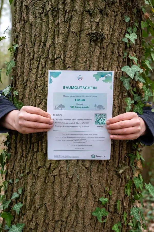 Baumgutschein Vorschau